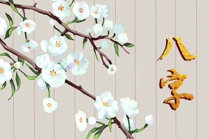 数字化排盘时代